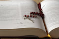 Family Rosary